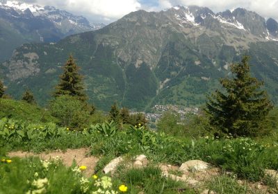 Journey to the end of the mountain pasture: Sentier des Jasses, l’Alpette, l’Enversin