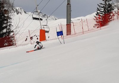 Course FIS – Slalom