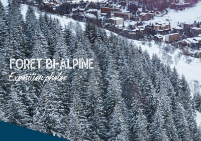 Bi-Alpine Forest photo exhibition