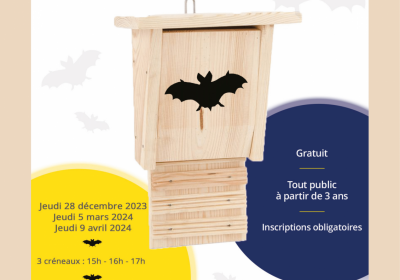 Bat shelter workshop