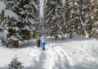 Snowshoes with french ski school of Vaujany