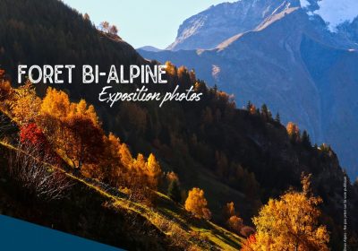 Bi-Alpine Forest photo exhibition