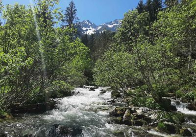 Génie végétal et cours d’eau de montagne – Jardin du Lautaret