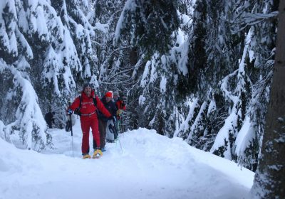 Snowshoe outing at the Dôme des Rousses with the ESF