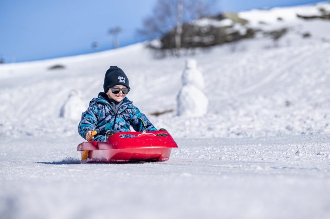 Sled_Alpe d’Huez