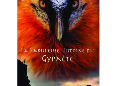 Film: La fabuleuse histoire du Gypaète barbu