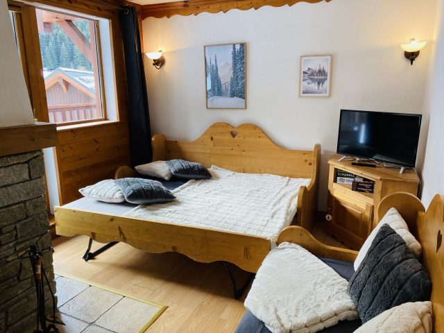 Appartement Chalet des neiges – Mr Puche_Oz-en-Oisans