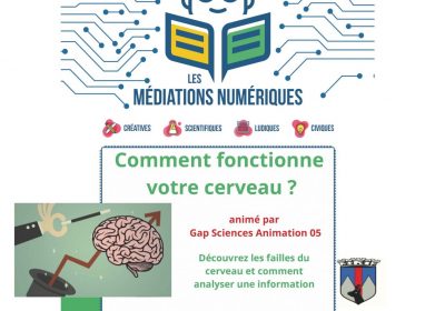 Comment fonctionne notre cerveau ?