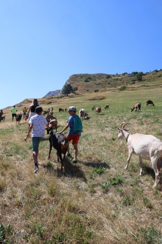 Tour of the Molières farm_La Grave