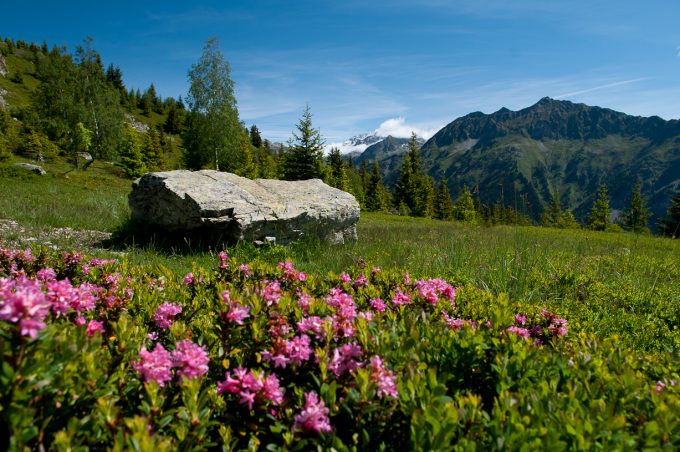 Lac de Belledonne (by the Chazeau hut) – Hiking_Allemond