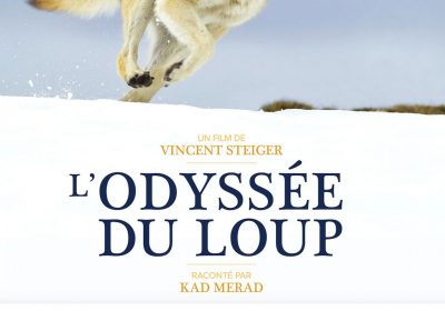 Screening for young audiences: L’Odyssée du Loup (The Wolf’s Odyssey)