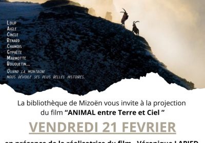 ANIMAL between Earth and Sky” wildlife film