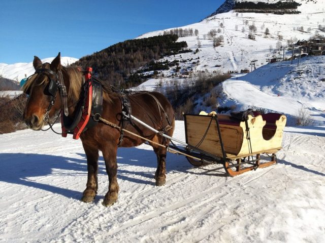 Traîneau à cheval