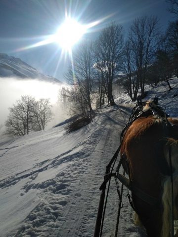 Traîneau à cheval