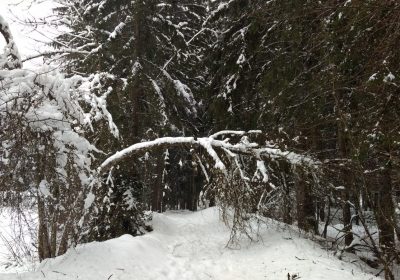 Snowshoeing – Venosc Village – Cascade de la Muzelle
